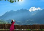 Dalhousie Local Sightseeing