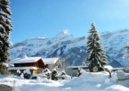 Manali Local Sightseeing
