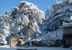 Delhi to Shimla