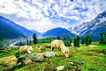 Srinagar 5 Days Tour